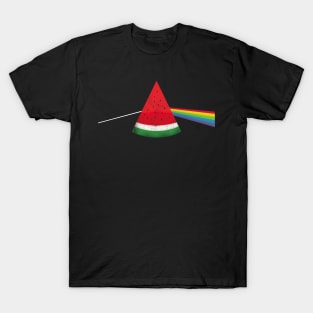 The dark side of the WaterMoon T-Shirt